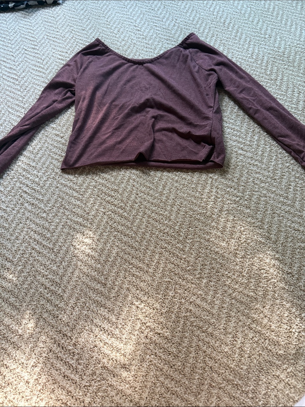 SHEIN Plum Long Sleeve Scoop Neck Top